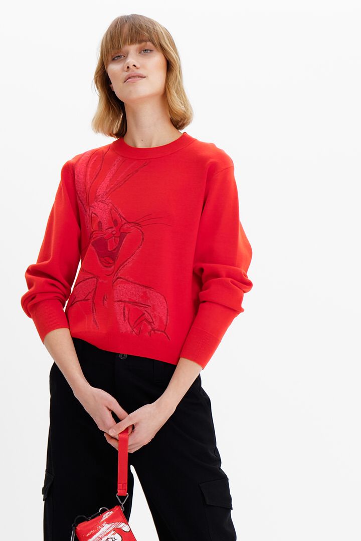 Pull brodé Bugs Bunny | Desigual