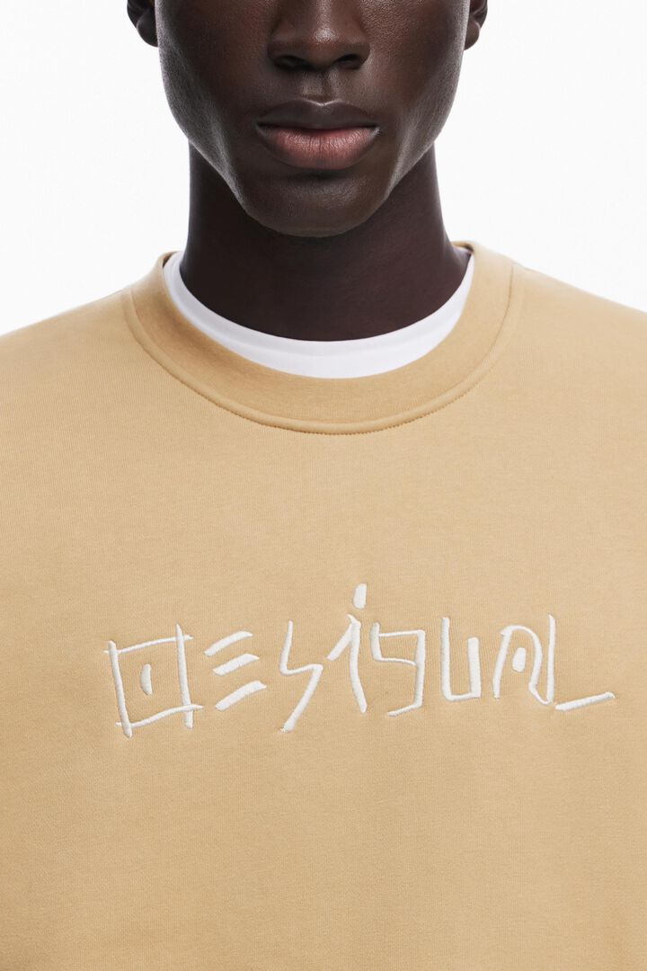 Embroidered sweatshirt | Desigual