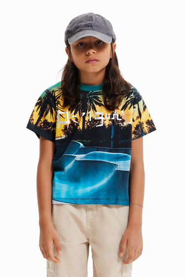 Camiseta skate park brillo | Desigual