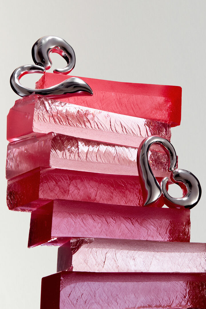 ZALIO HEART EARRINGS | Desigual