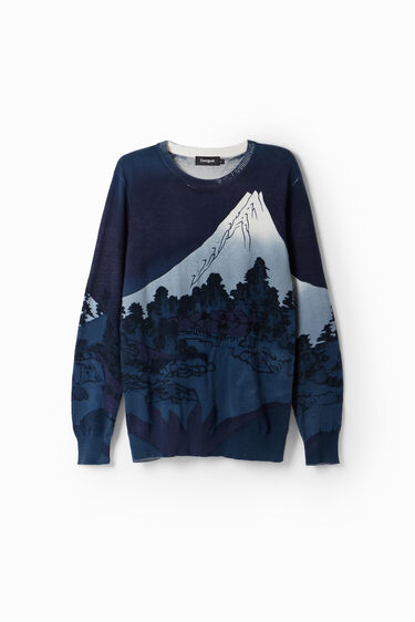 Pullover Feinstrick Landschaft | Desigual