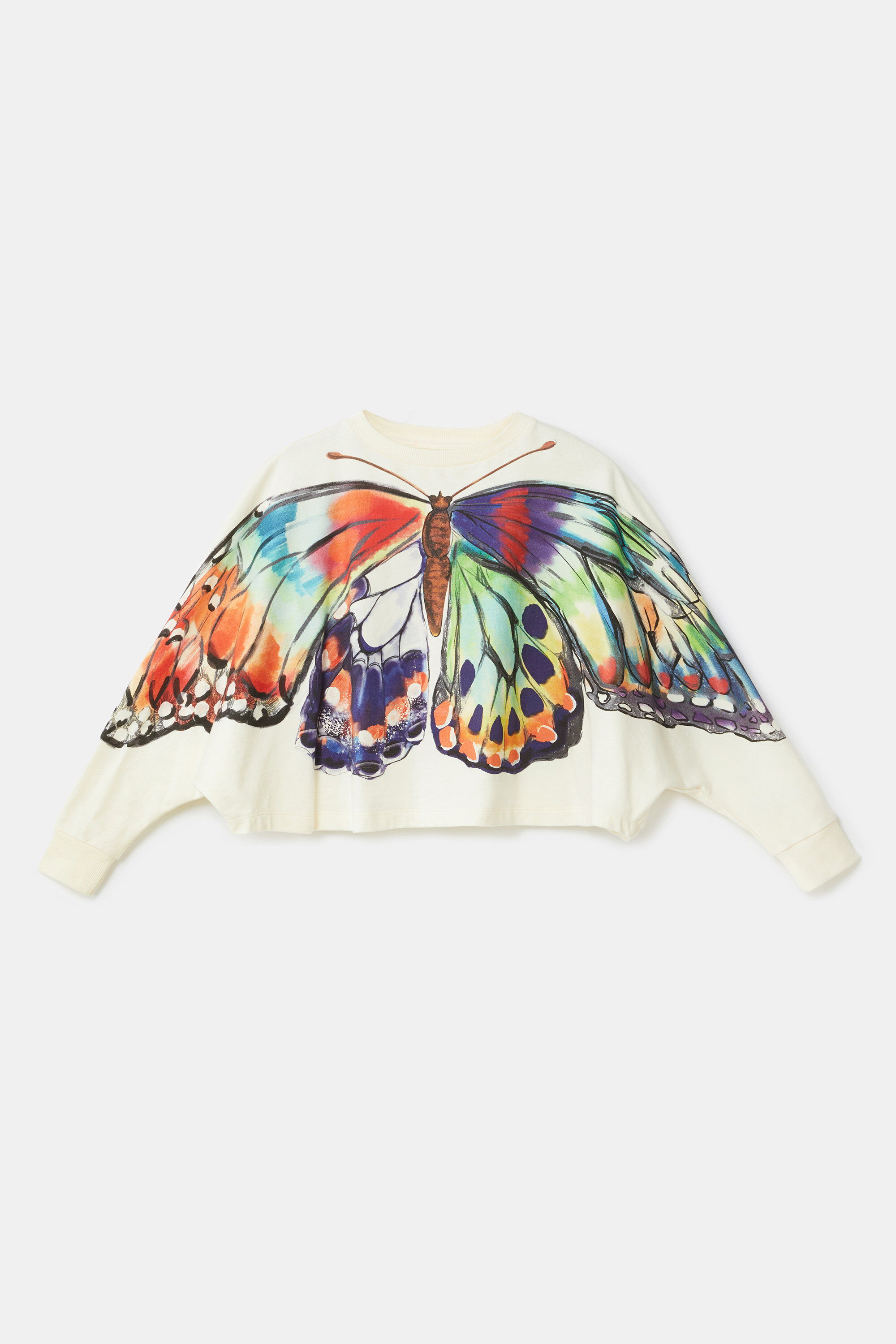 Oversize sweatshirt butterfly