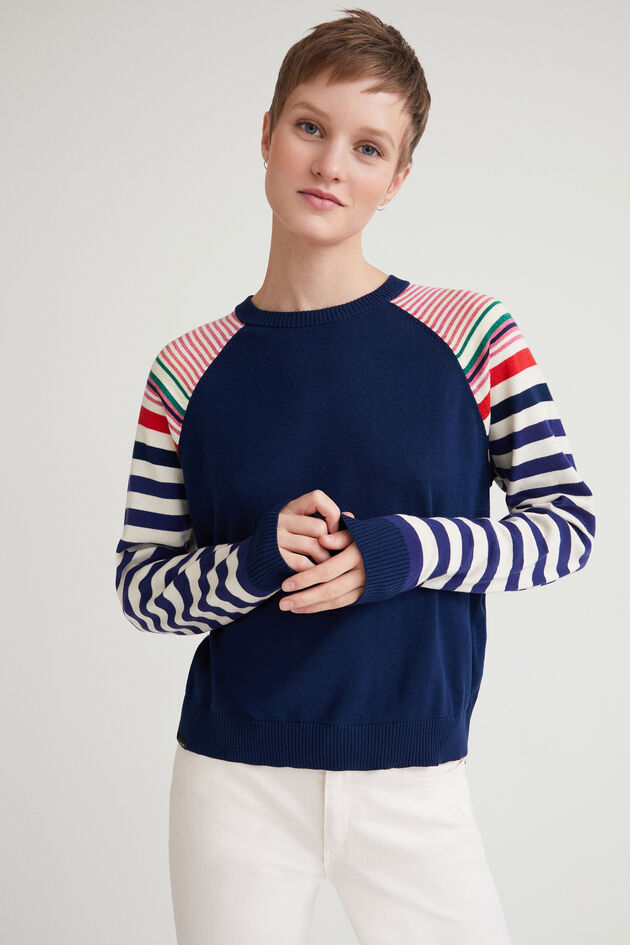 Stripy sleeved jumper