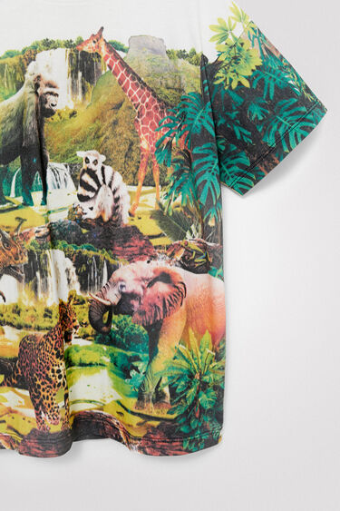 T-shirt met dinosaurus | Desigual