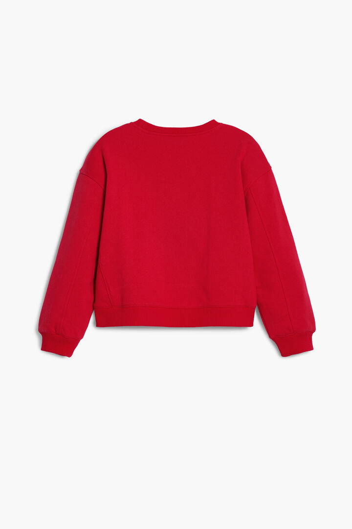 Sudadera cerezas lentejuelas | Desigual