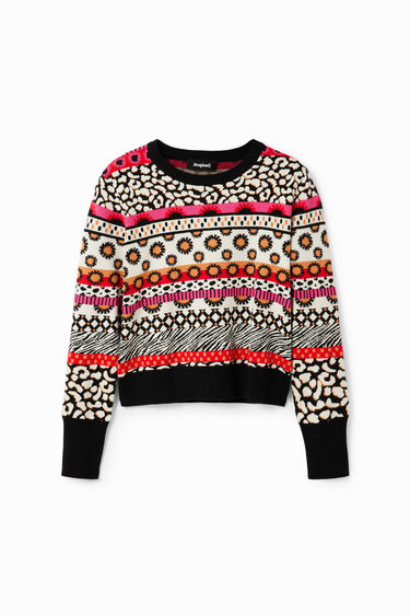 Short border pullover | Desigual