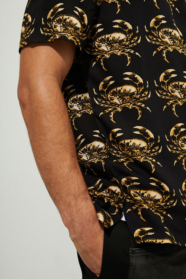 Camisa resort cuello cutaway | Desigual