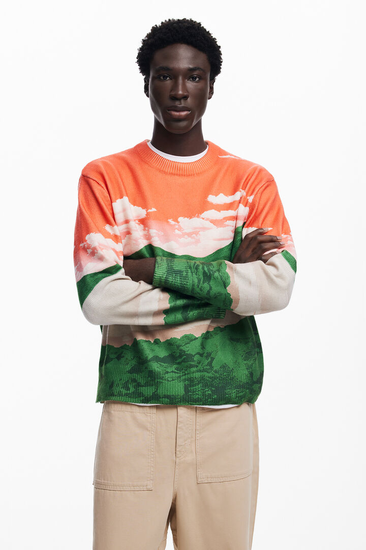 Landscape sweater | Desigual