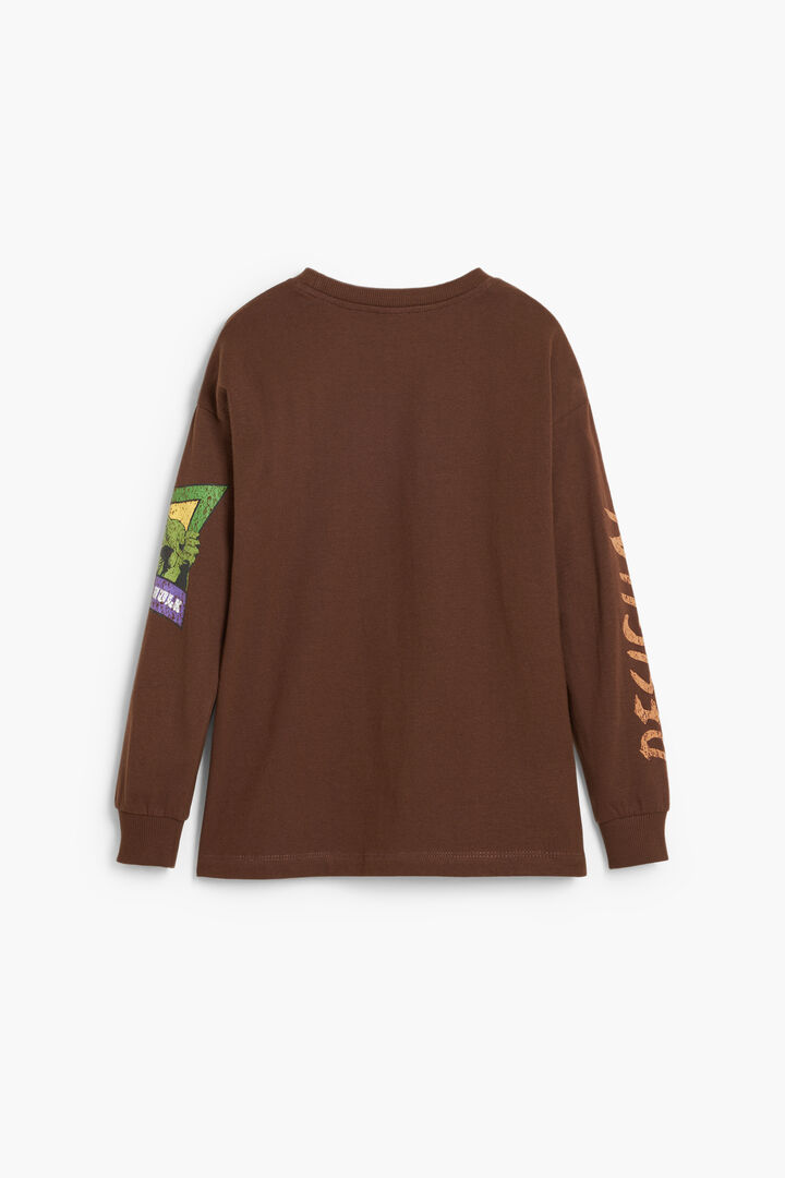 Hulk™ hosszú ujjú póló | Desigual