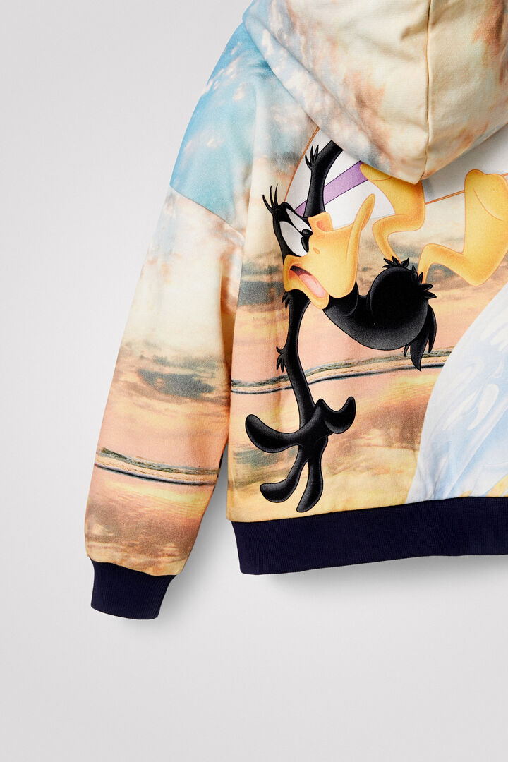 Looney Tunes hoodie | Desigual