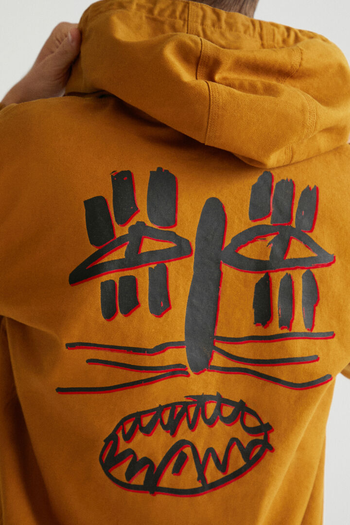 Canvas hooded jacket | Desigual