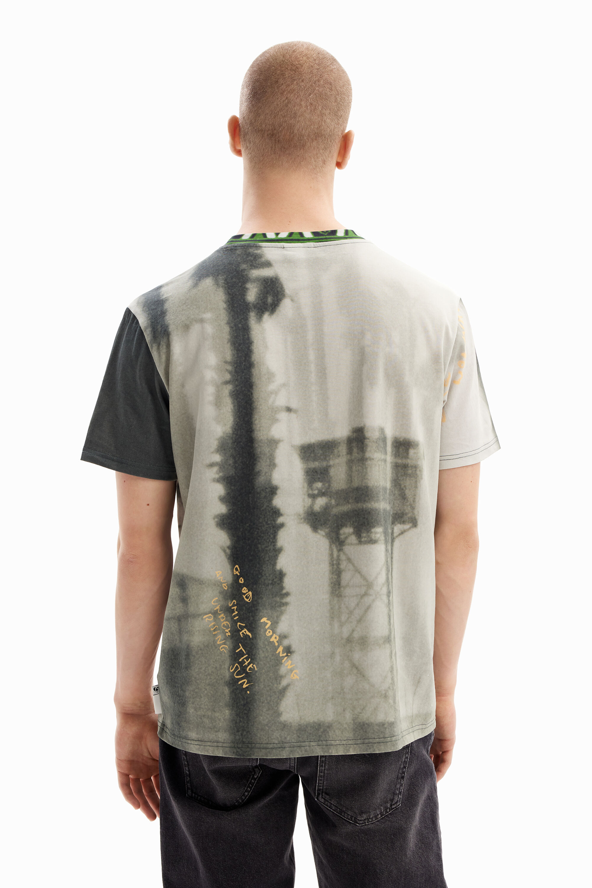 Shop Desigual Photographic Palm Tree T-shirt In Black