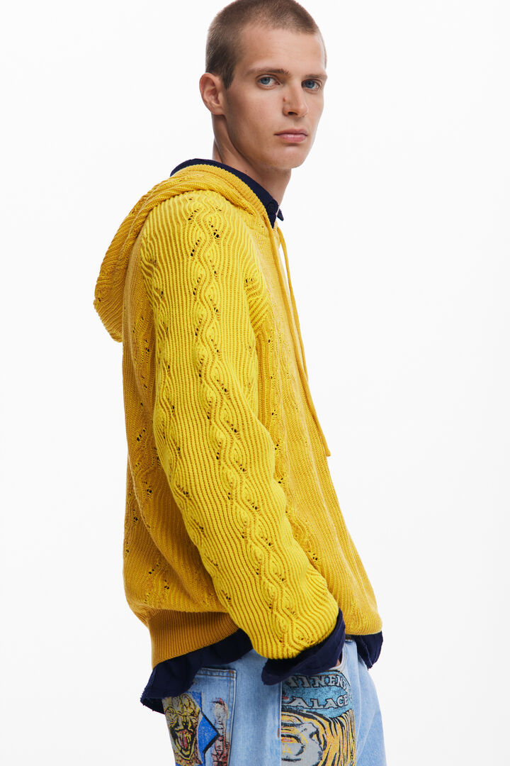 Geperforeerde hoodie | Desigual
