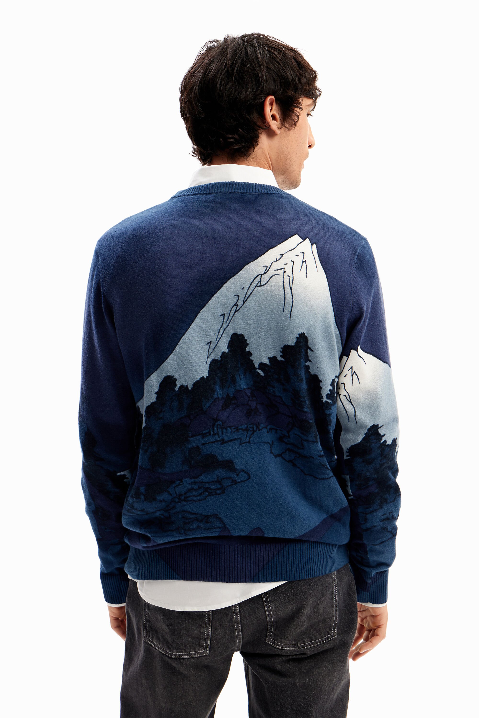 Shop Desigual Fine Landscape Pullover In Blue