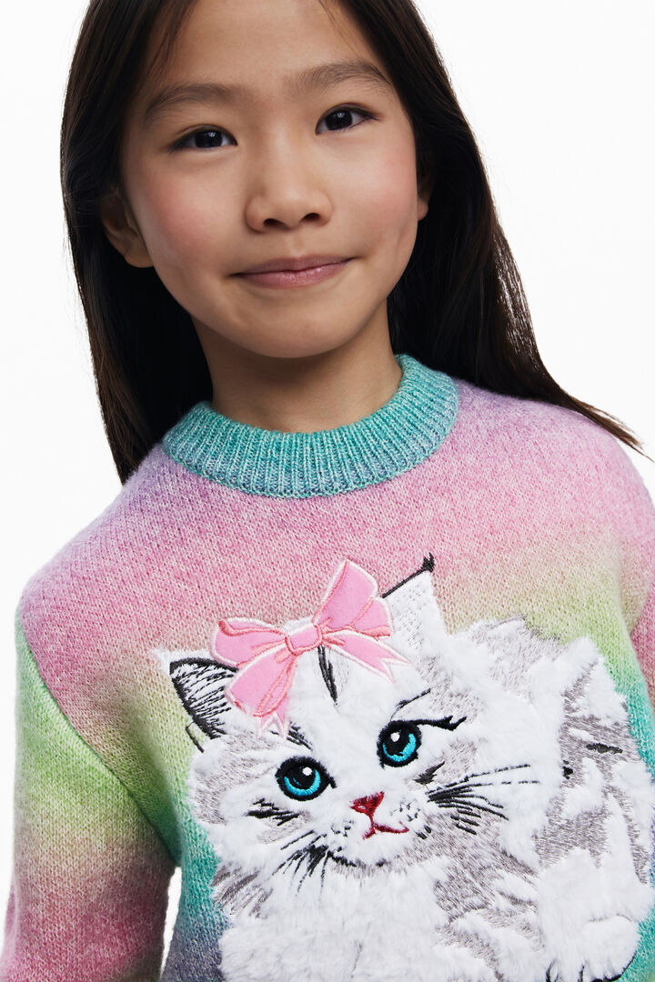 Sweter tęczowy kot | Desigual