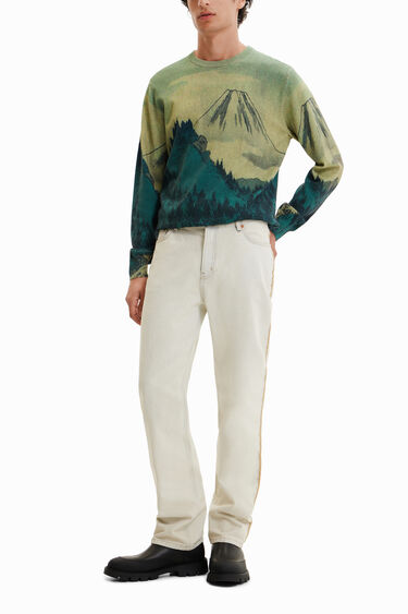 Thin landscape pullover | Desigual