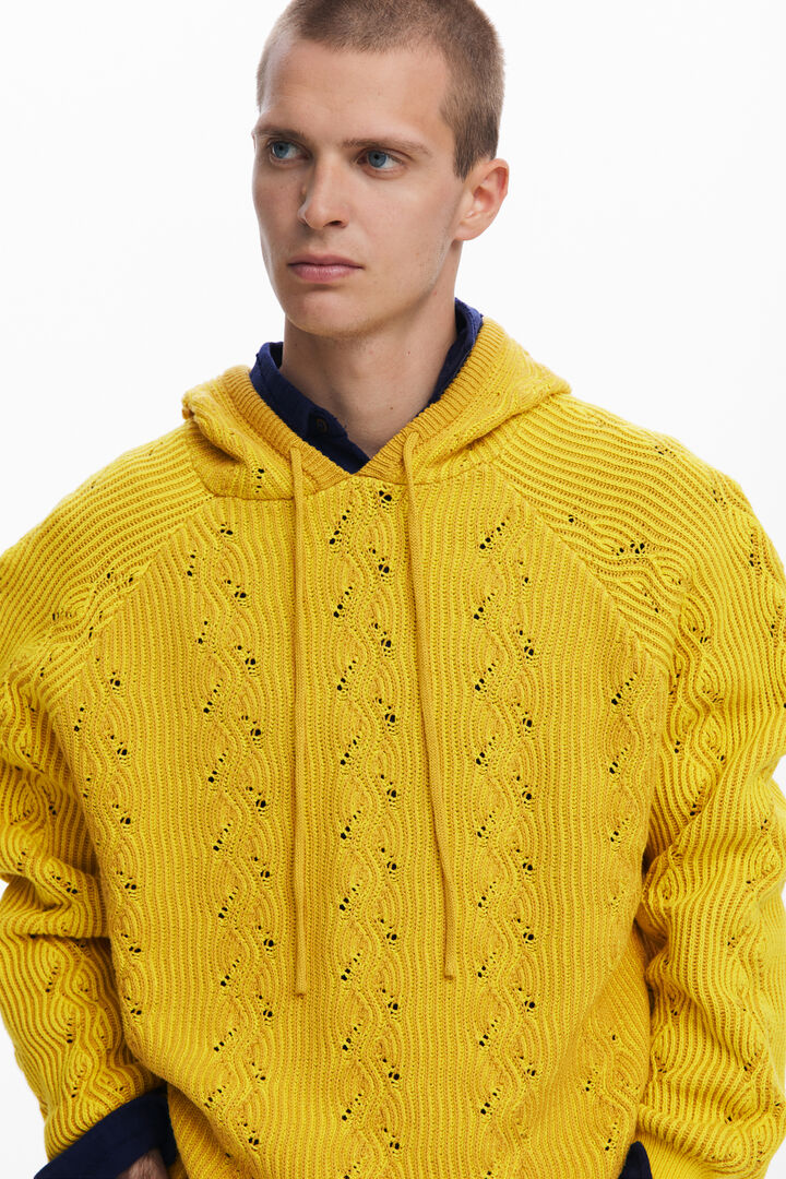 Geperforeerde hoodie | Desigual