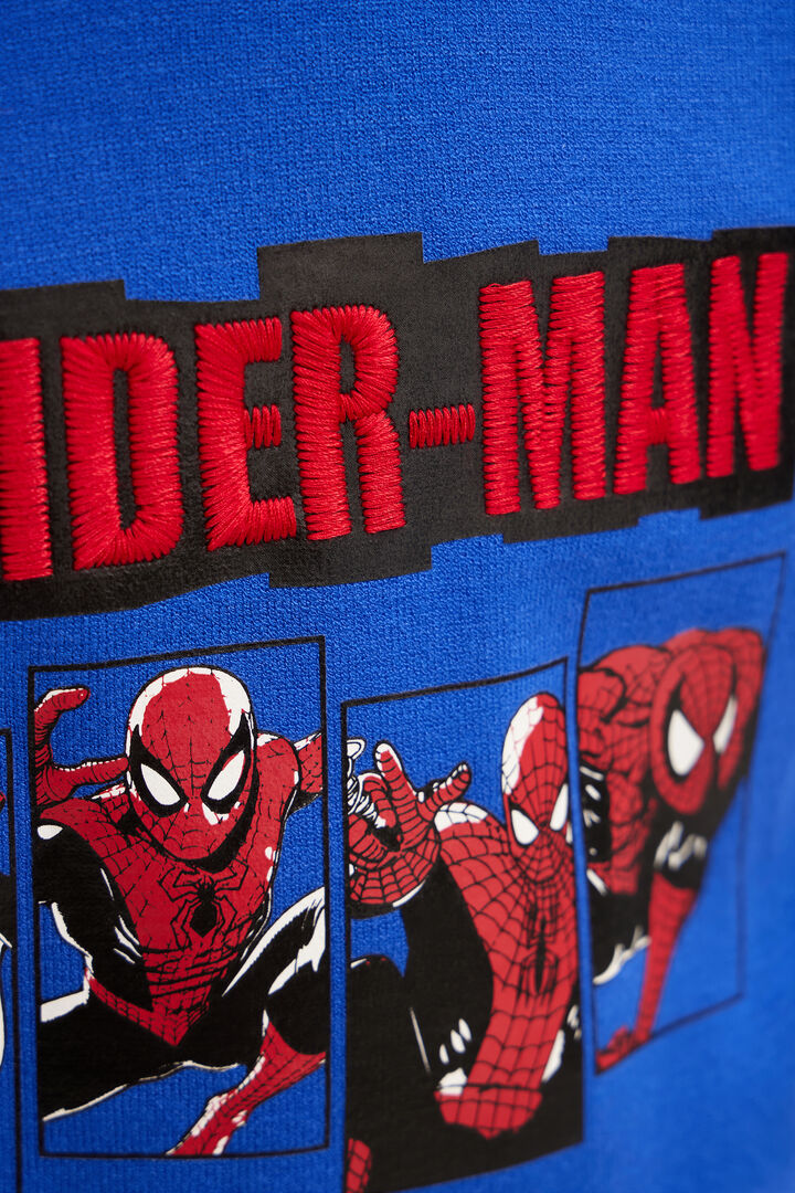 Sudadera Spiderman sin capucha | Desigual