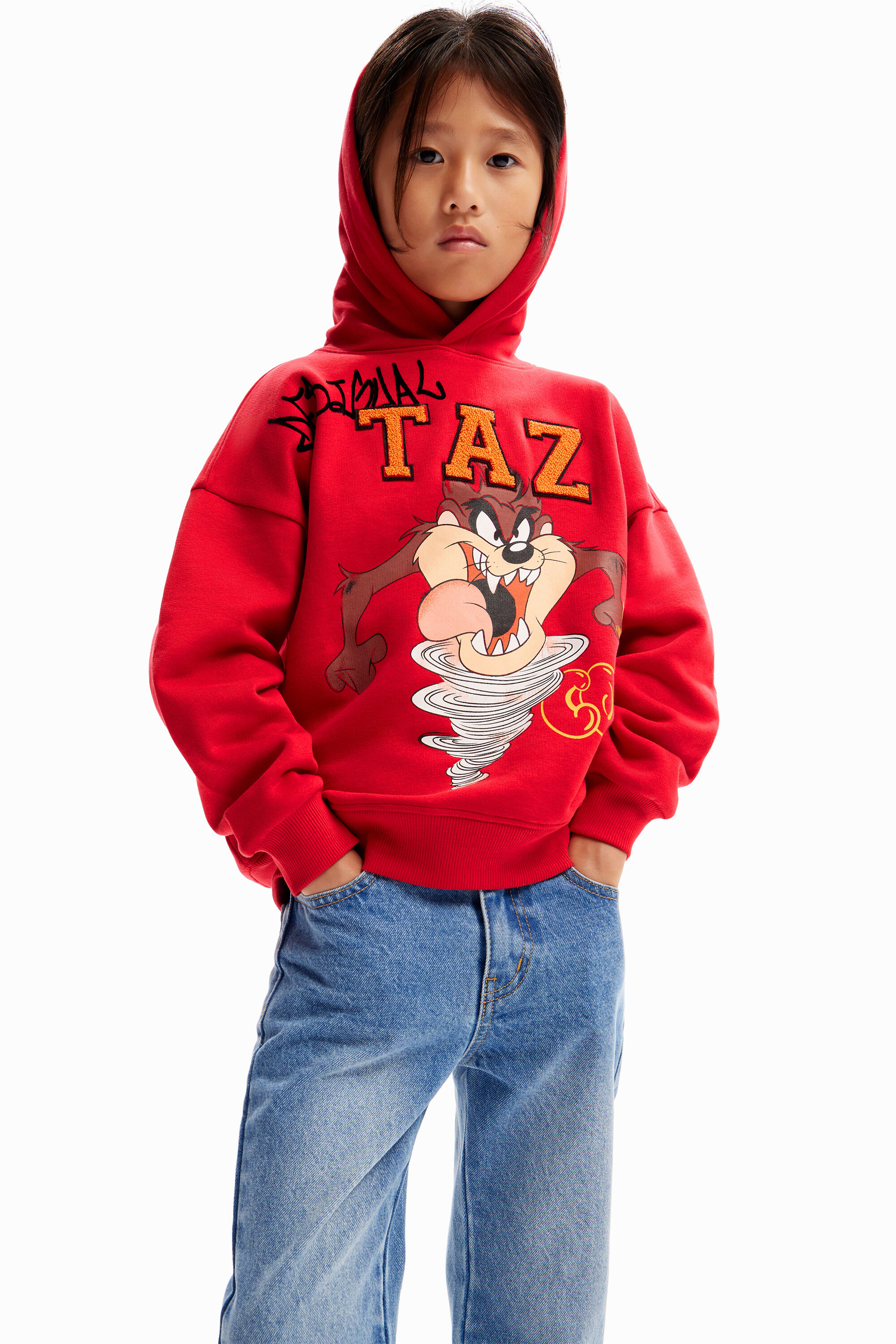 Desigual Looney Tunes hoodie