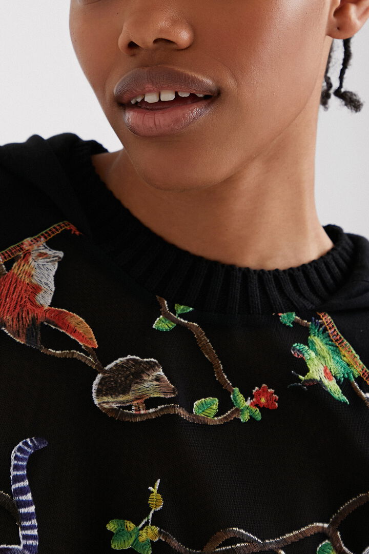 Tulle embroidery sweatshirt | Desigual