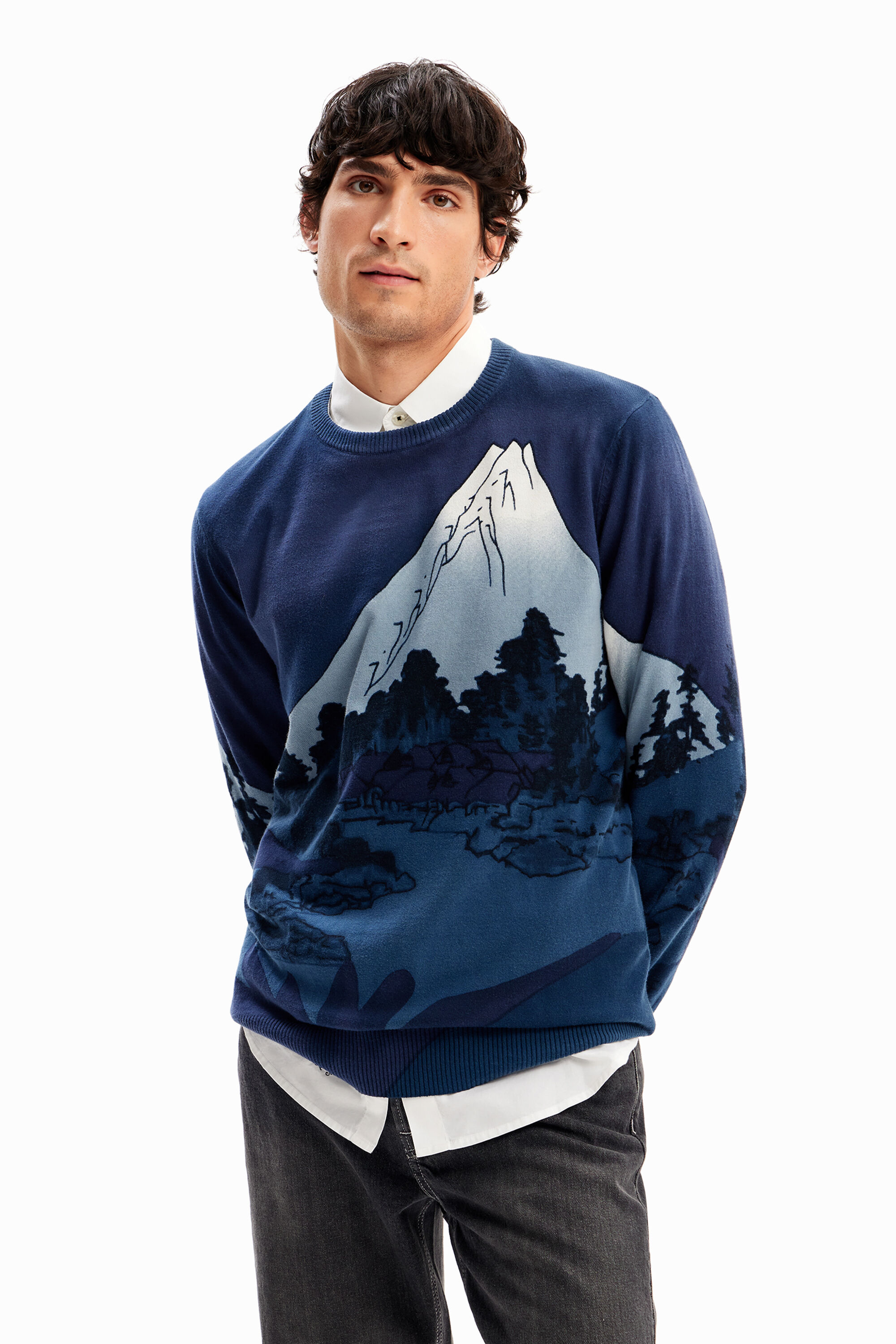 Fine landscape pullover - BLUE - L