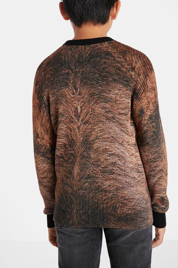 Trykotowy sweter z nadrukiem na całej powierzchni | Desigual
