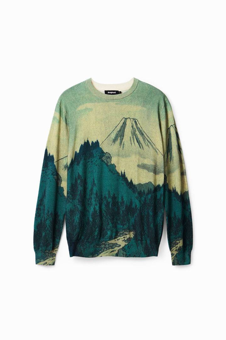 Thin landscape pullover | Desigual