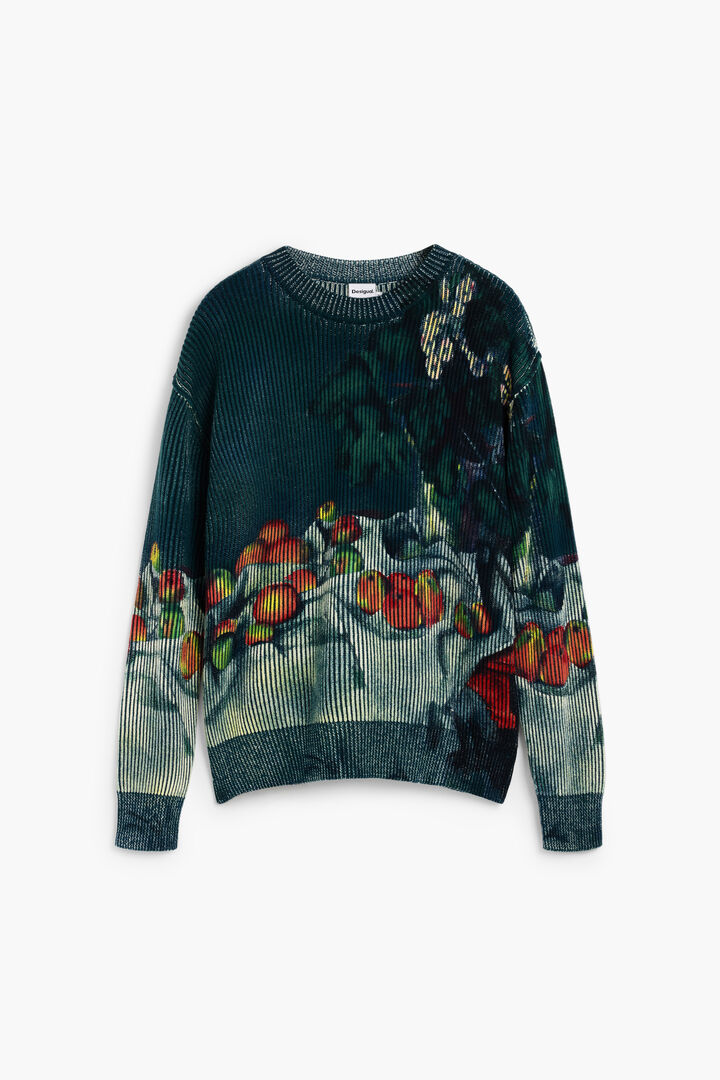 Trui stilleven textuur | Desigual