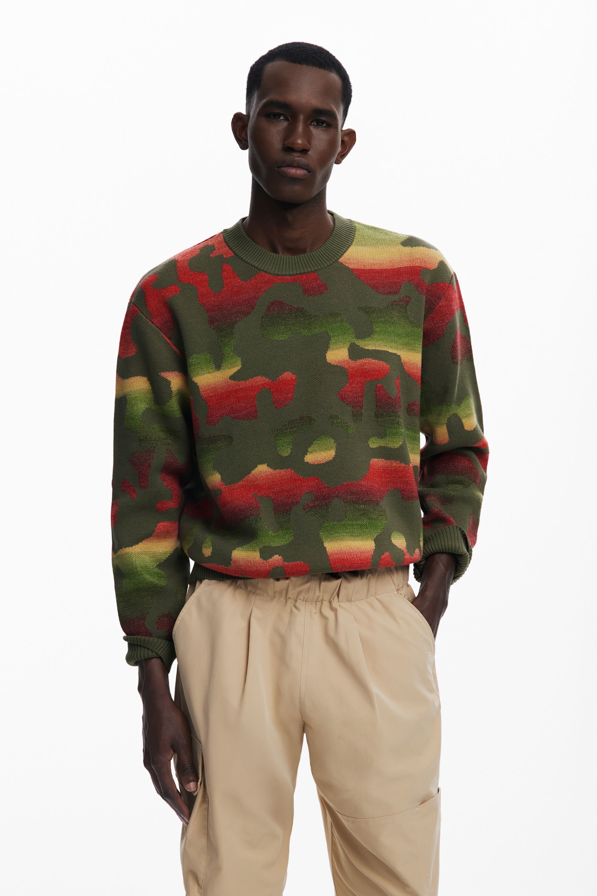 Desigual Gestreepte trui met dierenprint - GREEN