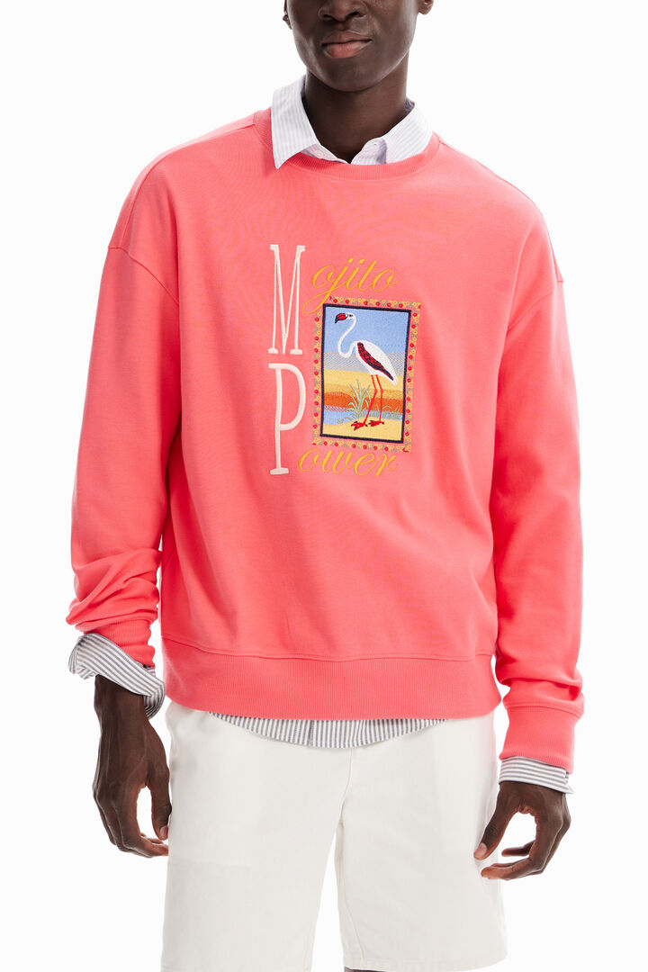 Flamingo embroidery sweatshirt | Desigual