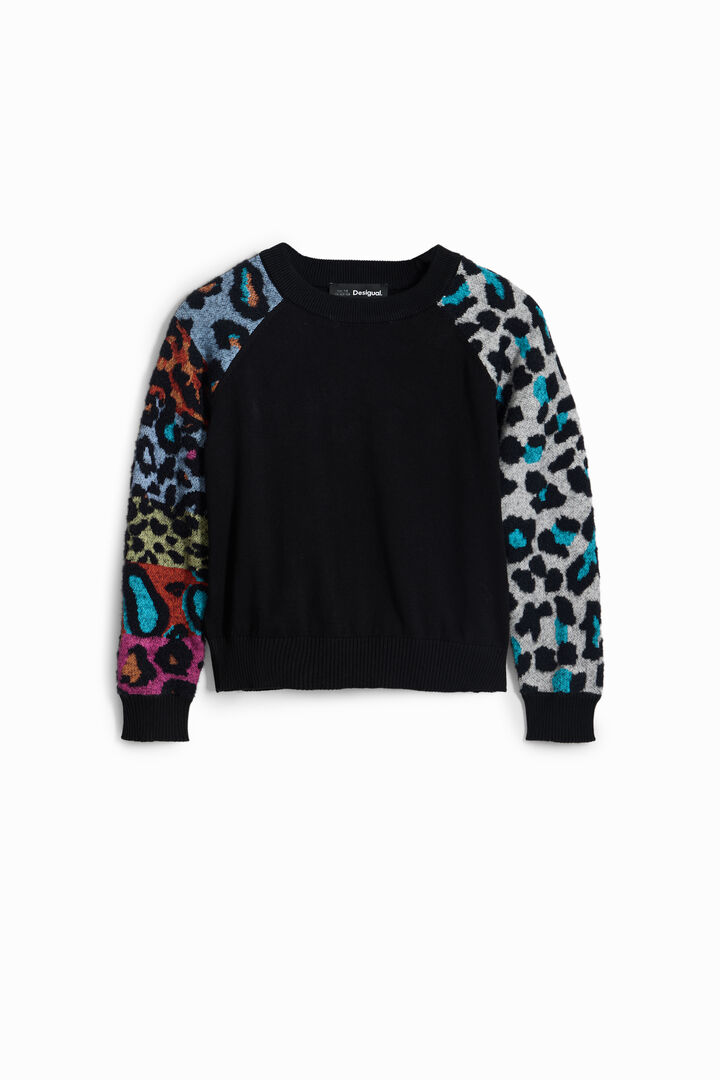 Jumper | Desigual