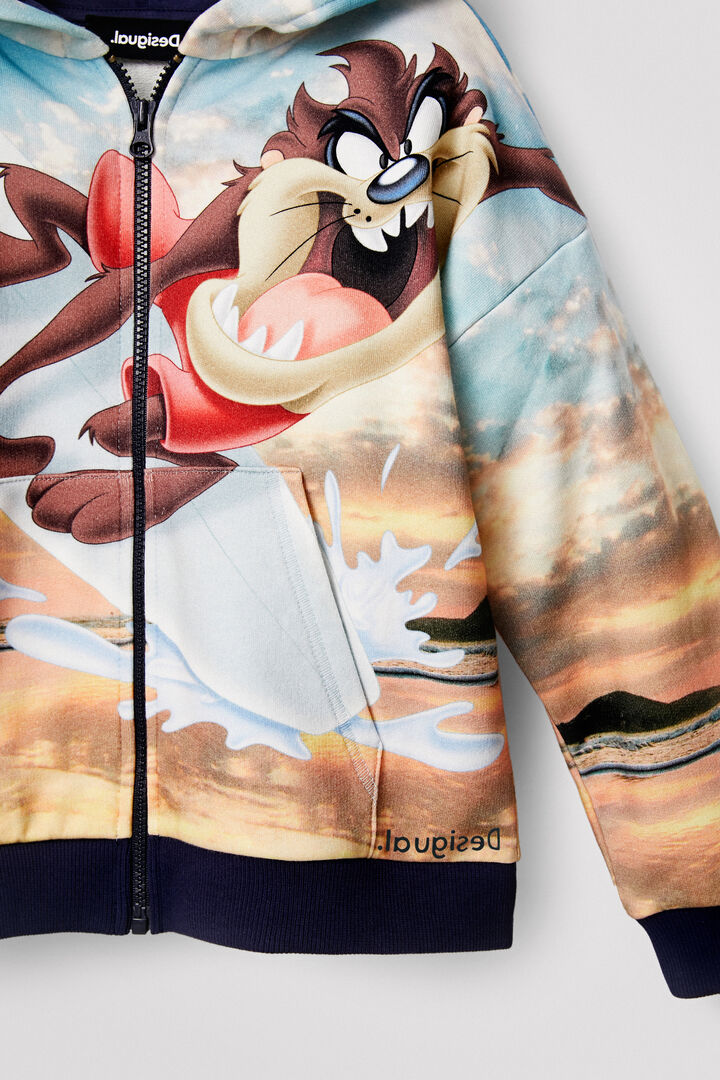 Looney Tunes hoodie | Desigual