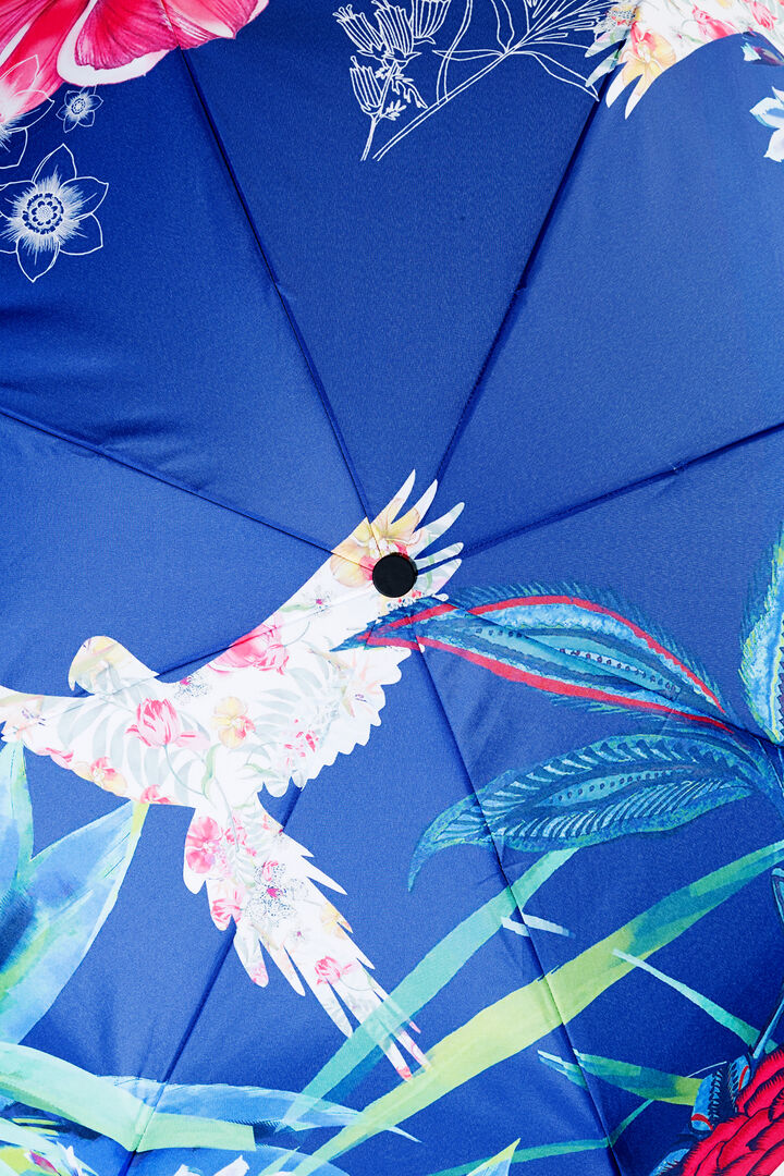Umbrella Birdpalm | Desigual