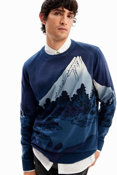 Pullover Feinstrick Landschaft | Desigual